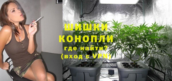 тгк Горняк
