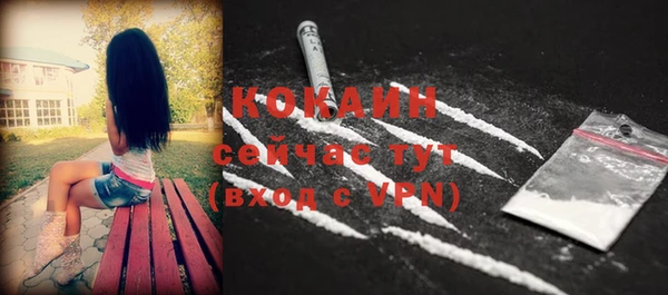 тгк Горняк