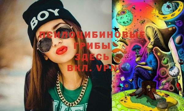 тгк Горняк