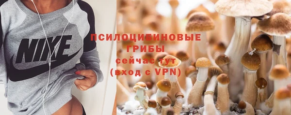 тгк Горняк