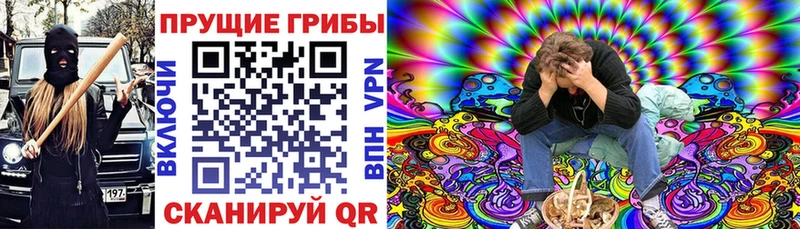 Купить  Североуральск  Псилоцибиновые грибы мухоморы 